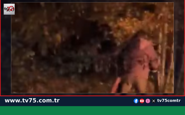 Ardahan Damal’da Eski Sağlık Ocağında Yangın Çıktı
