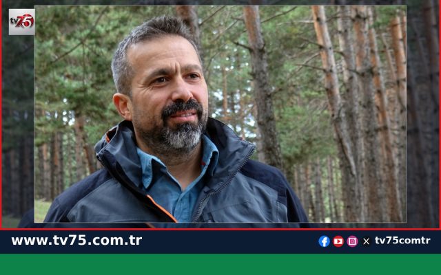 Bozayılar kış uykusu için Sarıkamış’a dönüyor